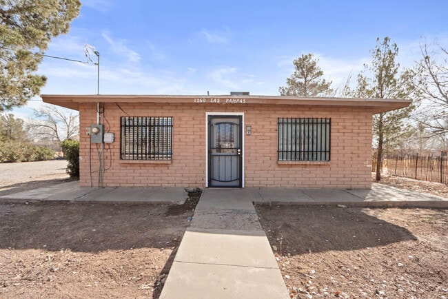 1260 Las Pompas Rd in San Elizario, TX - Building Photo - Building Photo