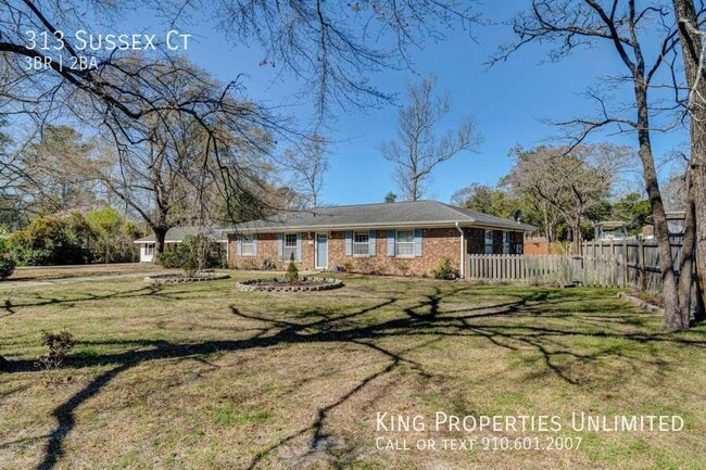 313 Sussex Ct in Wilmington, NC - Building Photo - Building Photo