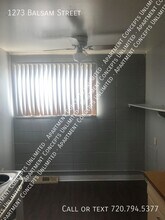 1273 Balsam St in Denver, CO - Building Photo - Building Photo