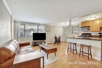 1151 N Marion St in Denver, CO - Building Photo - Building Photo