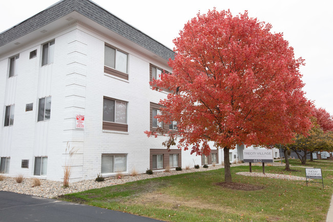 Treciti Village Apartments in Sylvania, OH - Building Photo - Building Photo