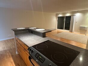 16 E Old Willow Rd in Prospect Heights, IL - Building Photo - Building Photo