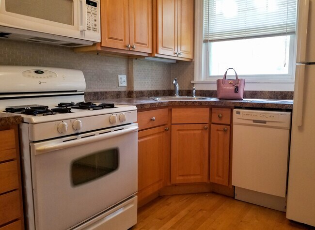86 Lincoln Ave-Unit -1W in Riverside, IL - Building Photo - Building Photo