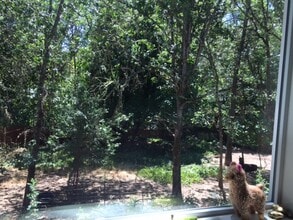 753 NW Kinney St in Grants Pass, OR - Building Photo - Building Photo