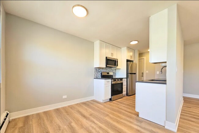 531 W Aldine Ave, Unit 312 in Chicago, IL - Building Photo - Building Photo