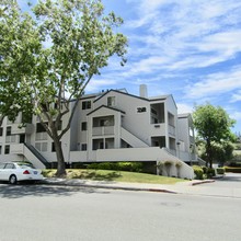 Lakewood Court Apartments in San Jose, CA - Building Photo - Building Photo