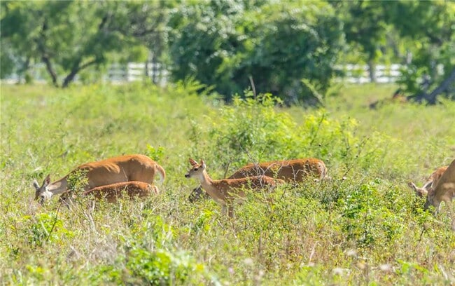 property at 401 Anderson Rd