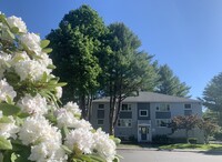 The Bellamy in Portland, ME - Foto de edificio - Building Photo