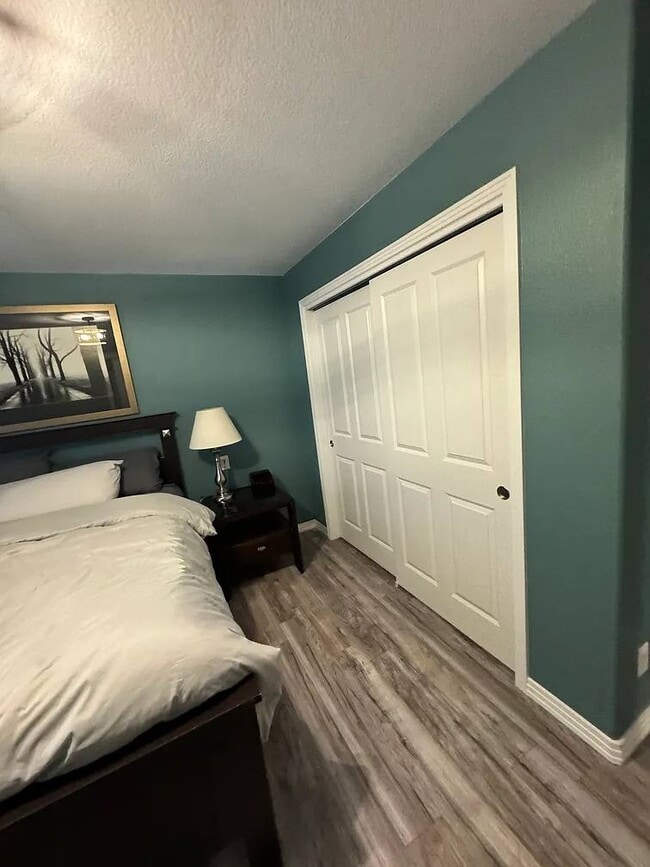 4324 Timber Hollow Loop in Castle Rock, CO - Foto de edificio - Building Photo