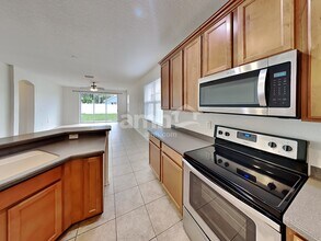 6019 Blue Sage Dr in Land O Lakes, FL - Building Photo - Building Photo