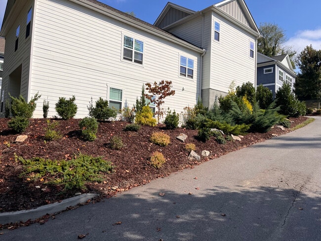 32 Plant Pl in Asheville, NC - Building Photo - Building Photo