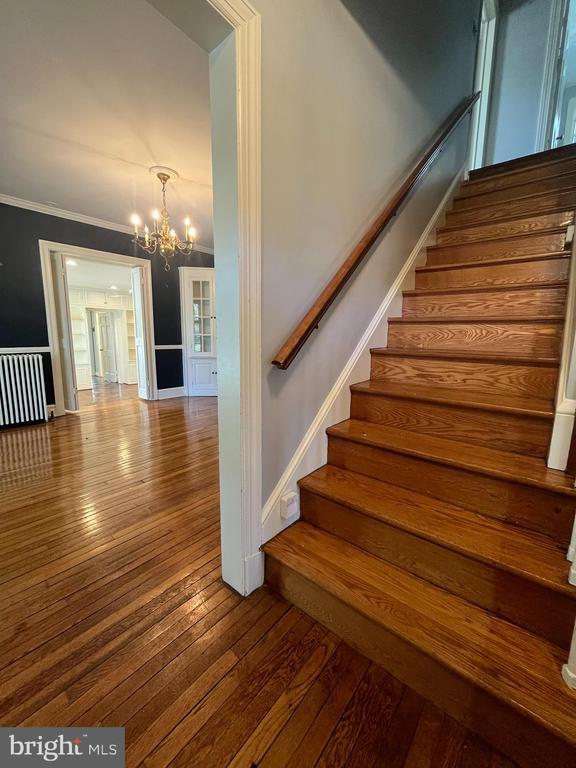 3604 Oval Dr in Alexandria, VA - Building Photo - Building Photo