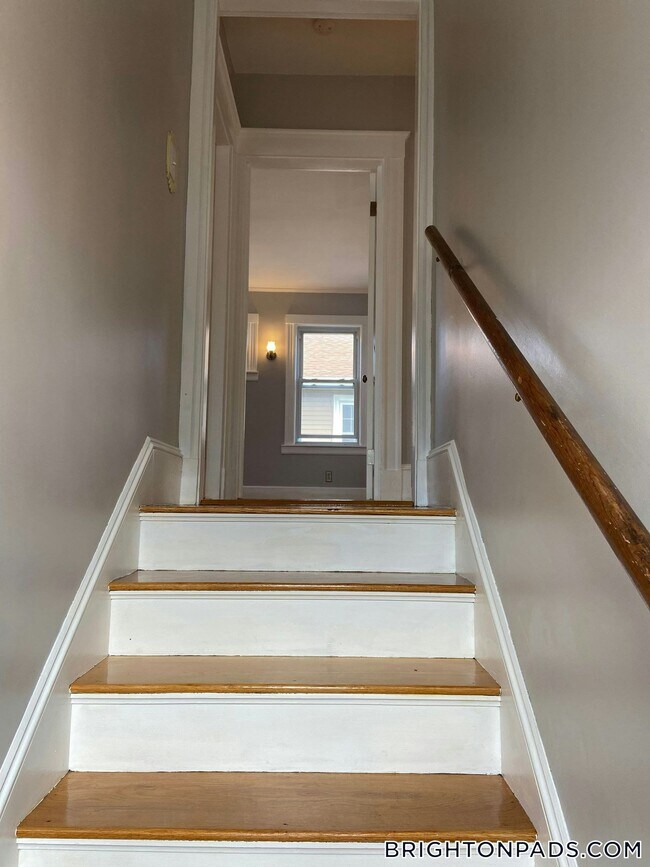 7 Elmira St in Boston, MA - Building Photo - Building Photo