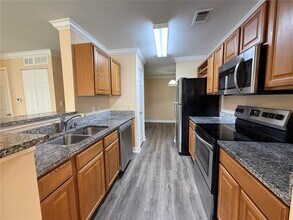 18267 Bridle Club Dr in Tampa, FL - Building Photo - Building Photo