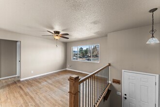 4503 Bella Dr in Colorado Springs, CO - Building Photo - Building Photo