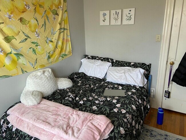 116 University Rd, Unit 3 in Brookline, MA - Building Photo - Building Photo