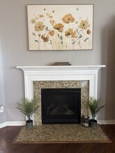 593 Friar Park Ln in Lyman, SC - Building Photo - Building Photo