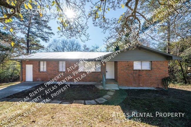 property at 101 Blackberry Ln