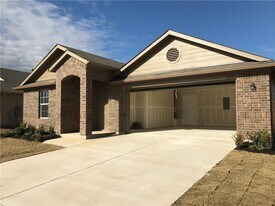 19517 Great Falls Dr in Manor, TX - Building Photo