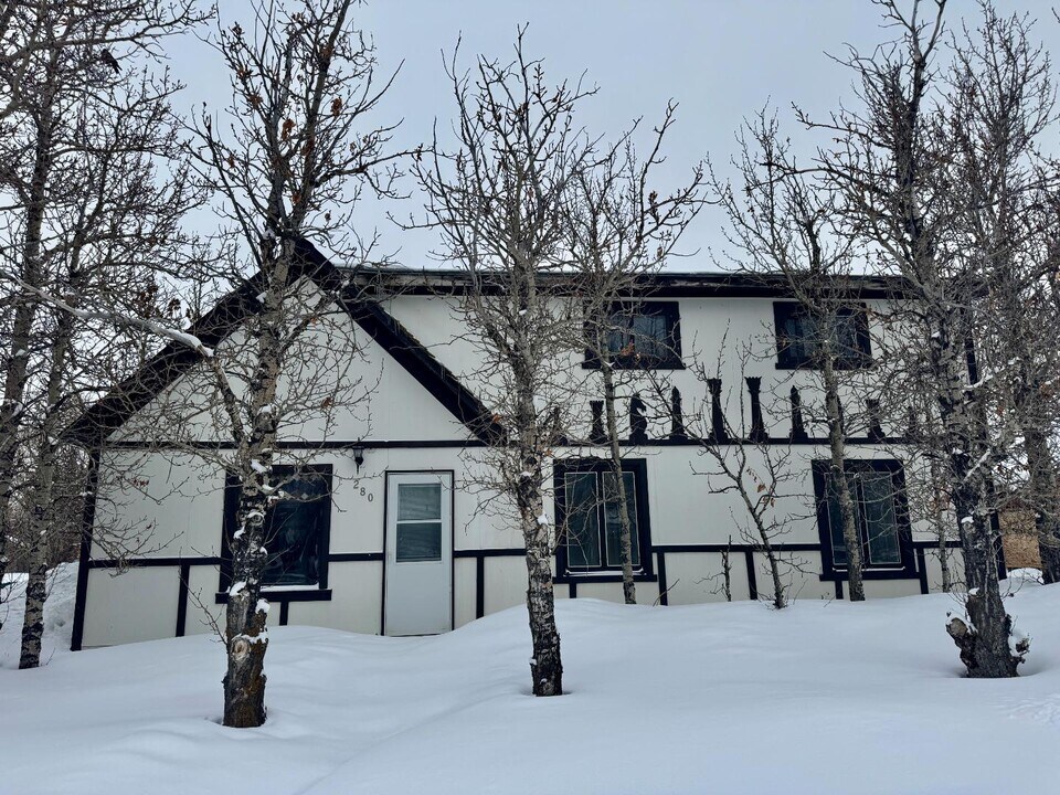 280 Byers Ave in Fraser, CO - Building Photo