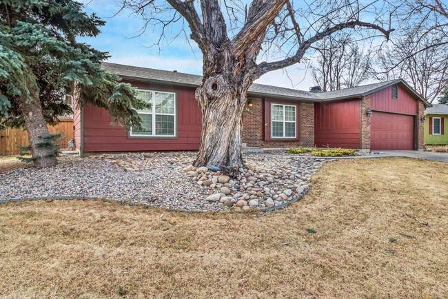 3636 Caribou Dr in Fort Collins, CO - Building Photo - Building Photo