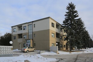 8 Birkshire Ct in Kitchener, ON - Building Photo