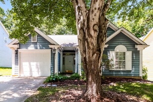 8525 Langley Mill Ct in Charlotte, NC - Building Photo