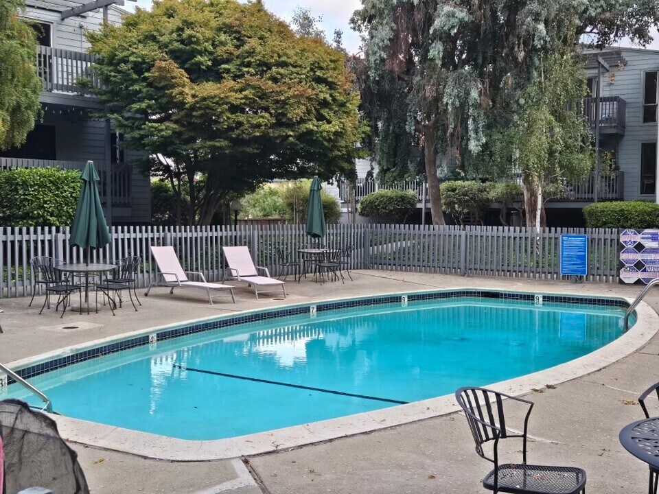 62 Laurie Meadows Dr, Unit 1 in San Mateo, CA - Building Photo