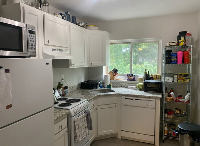 63 Selkirk Rd, Unit 6 in Boston, MA - Building Photo - Building Photo