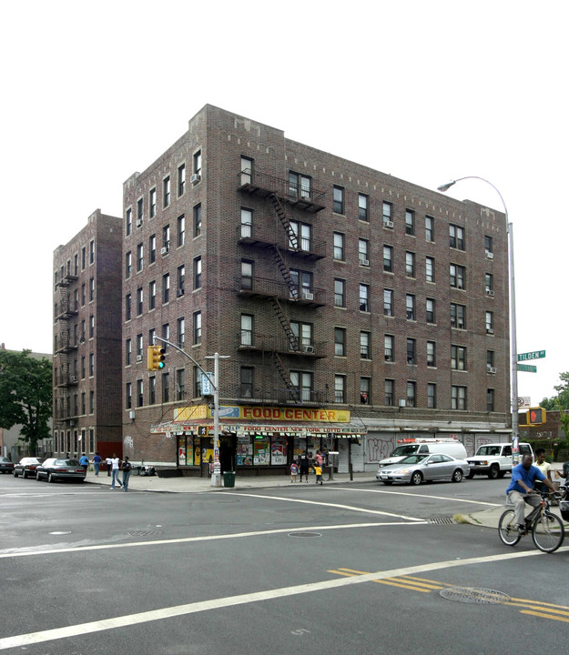 Tilden Apartments in Brooklyn, NY - Building Photo