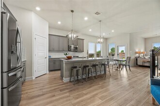 29510 Enchanted Breeze Ln in Katy, TX - Building Photo - Building Photo