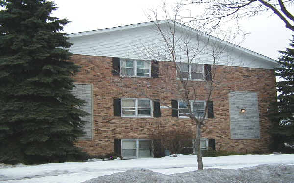 4117 Lindenwood Dr in Matteson, IL - Building Photo