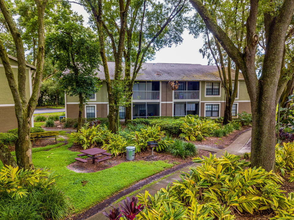 Laurel Oaks in Tampa, FL - Foto de edificio