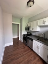 675 W Willis St in Detroit, MI - Building Photo