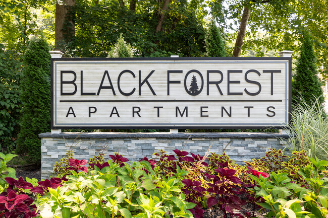 Black Forest Apartments in St. Louis, MO - Building Photo - Building Photo