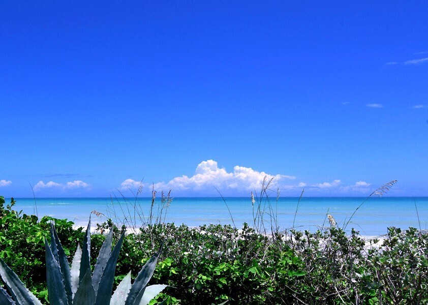 8840 S Sea Oaks Way in Vero Beach, FL - Building Photo
