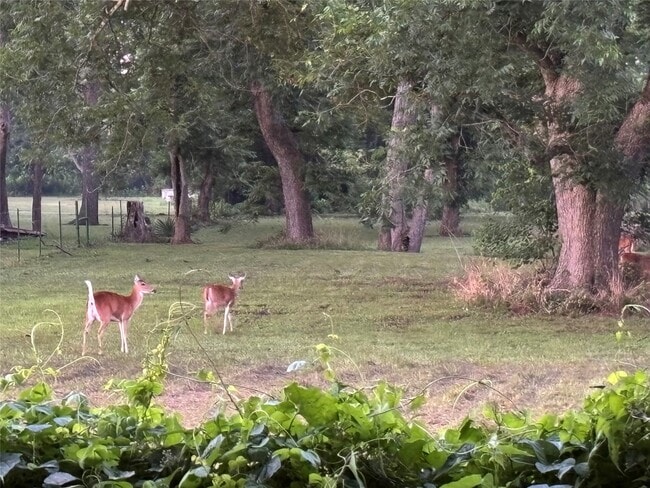 property at 2011 Miller Rd