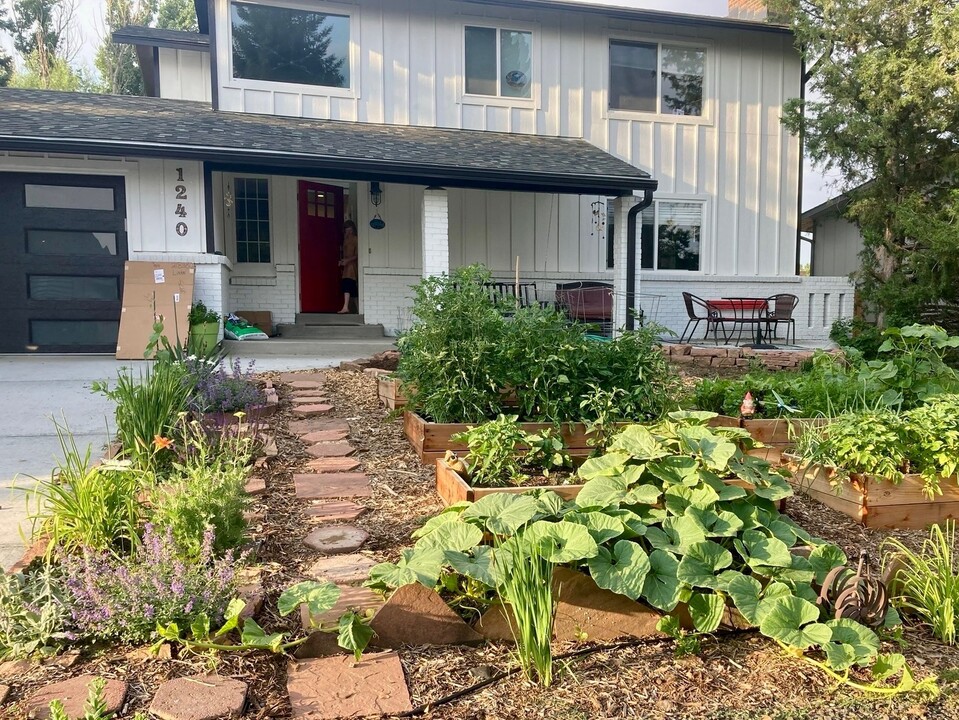 1240 Delphi Dr in Lafayette, CO - Foto de edificio