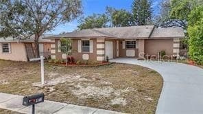 1612 Fox Run Dr in Tarpon Springs, FL - Building Photo - Building Photo