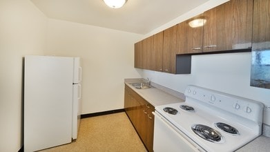 South Shore Beach Apartments in Chicago, IL - Foto de edificio - Building Photo