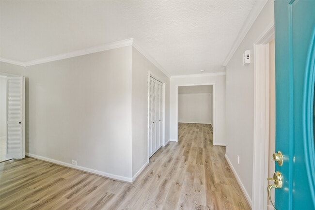 12423 Olympia Dr in Houston, TX - Building Photo - Building Photo
