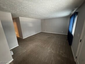 54 Palmer Ave in Painesville, OH - Building Photo - Building Photo