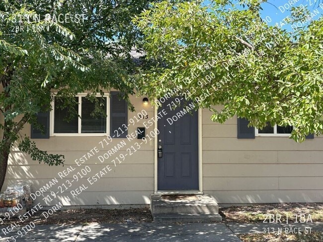 313 N Race St in Fountain, CO - Building Photo - Building Photo