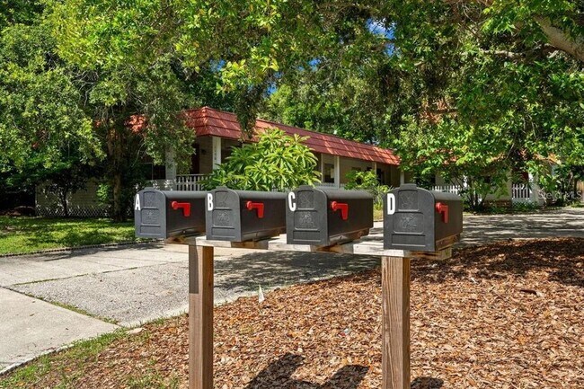 1156 Orange Ave in Dunedin, FL - Building Photo - Building Photo