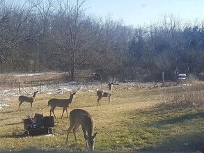 4792 Pyrmont Rd in Lewisburg, OH - Foto de edificio - Building Photo