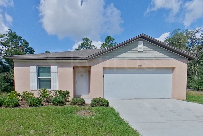 2907 W Camilo Dr in Citrus Springs, FL - Building Photo