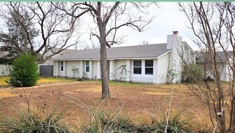 11609 Gunsmoke Cir in Austin, TX - Building Photo