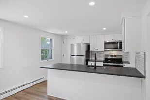 96-100 Chestnut St in Albany, NY - Building Photo