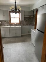 727 E 155th Ct in Phoenix, IL - Building Photo