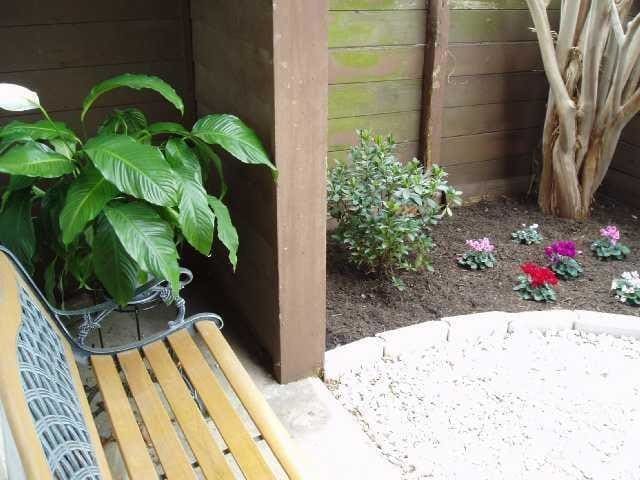 4409 W Guadalupe St in Austin, TX - Building Photo - Building Photo